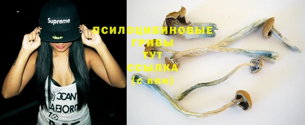 крисы Абинск