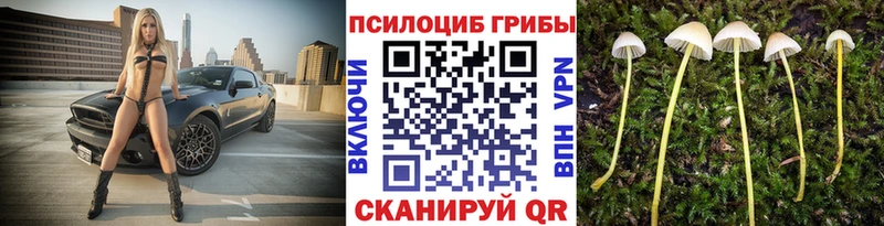Галлюциногенные грибы прущие грибы  купить наркотики цена  Пудож 