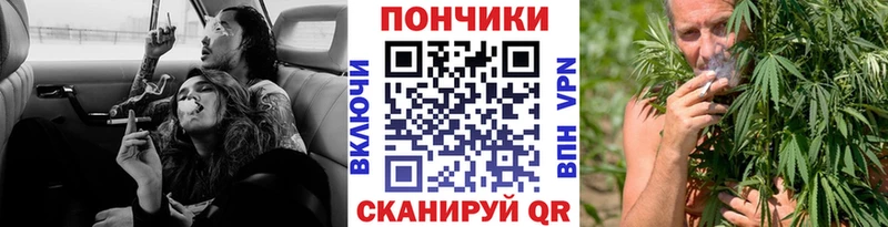 Бошки Шишки сатива  Пудож 